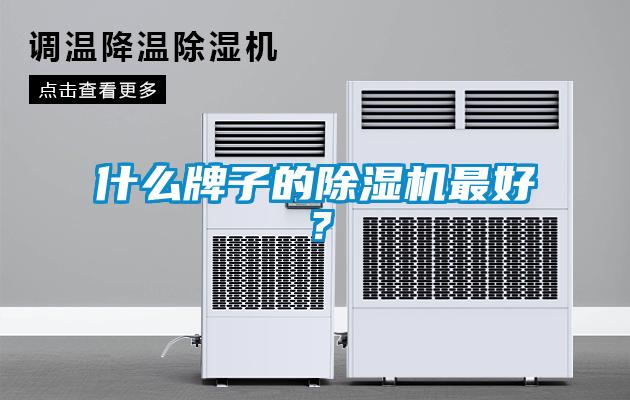 什么牌子的除濕機最好？