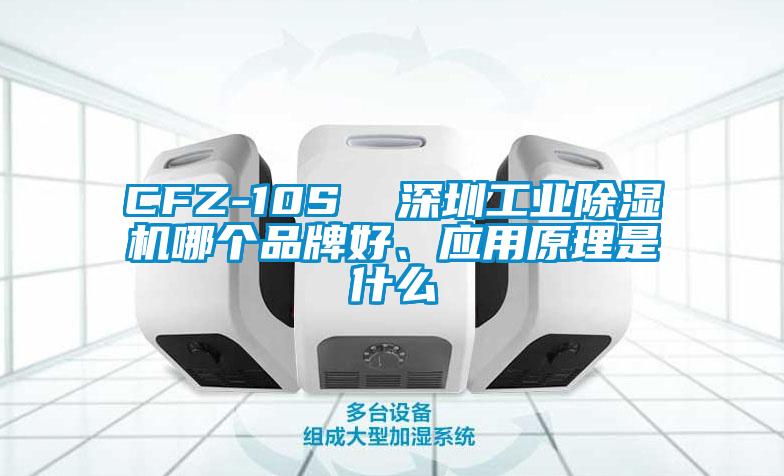 CFZ-10S  深圳工業除濕機哪個品牌好、應用原理是什么