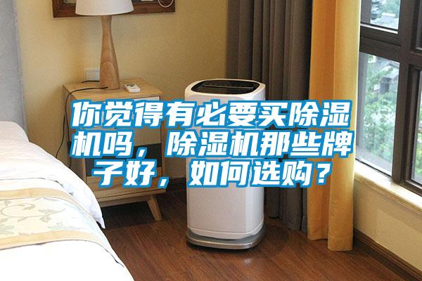 你覺得有必要買除濕機嗎，除濕機那些牌子好，如何選購？