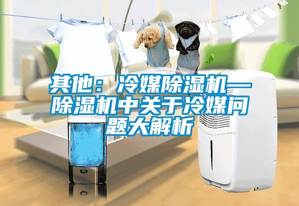 其他：冷媒除濕機—除濕機中關于冷媒問題大解析