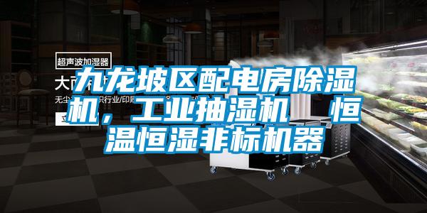 九龍坡區配電房除濕機,工業抽濕機 恒溫恒濕非標機器