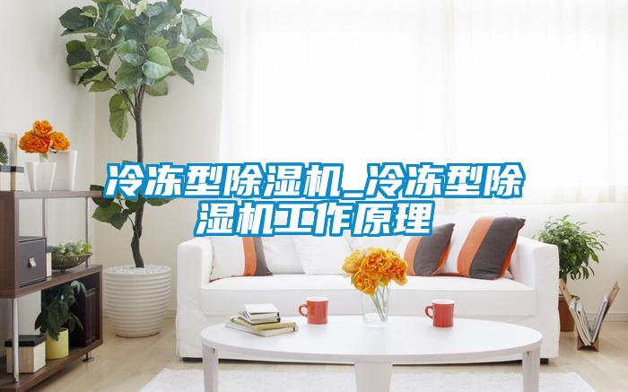 冷凍型除濕機_冷凍型除濕機工作原理