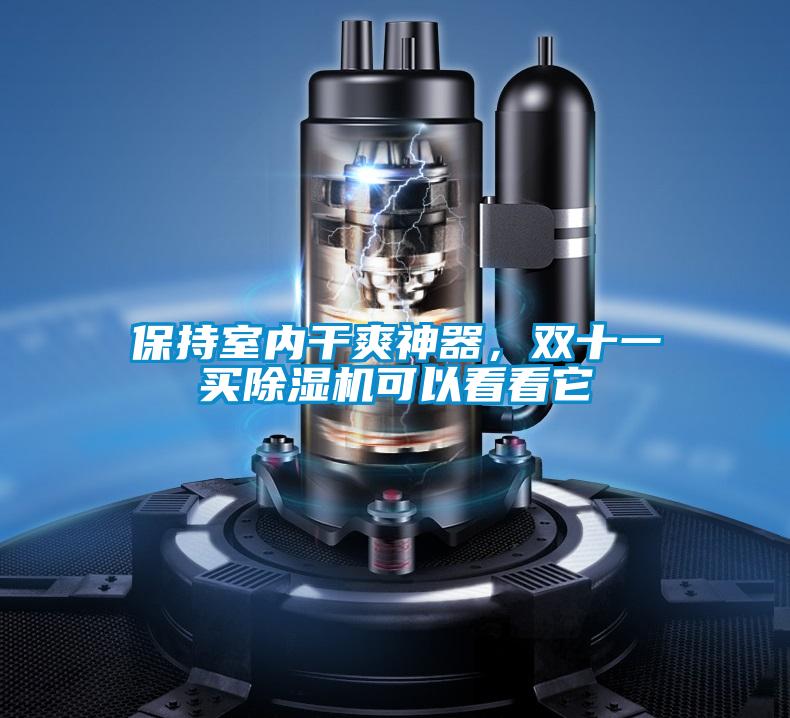 保持室內(nèi)干爽神器,雙十一買除濕機(jī)可以看看它