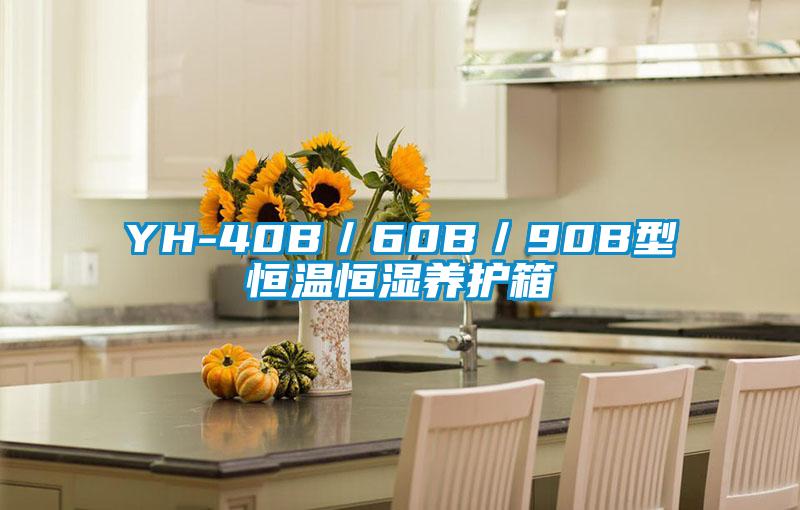 YH-40B/60B/90B型恒溫恒濕養(yǎng)護(hù)箱