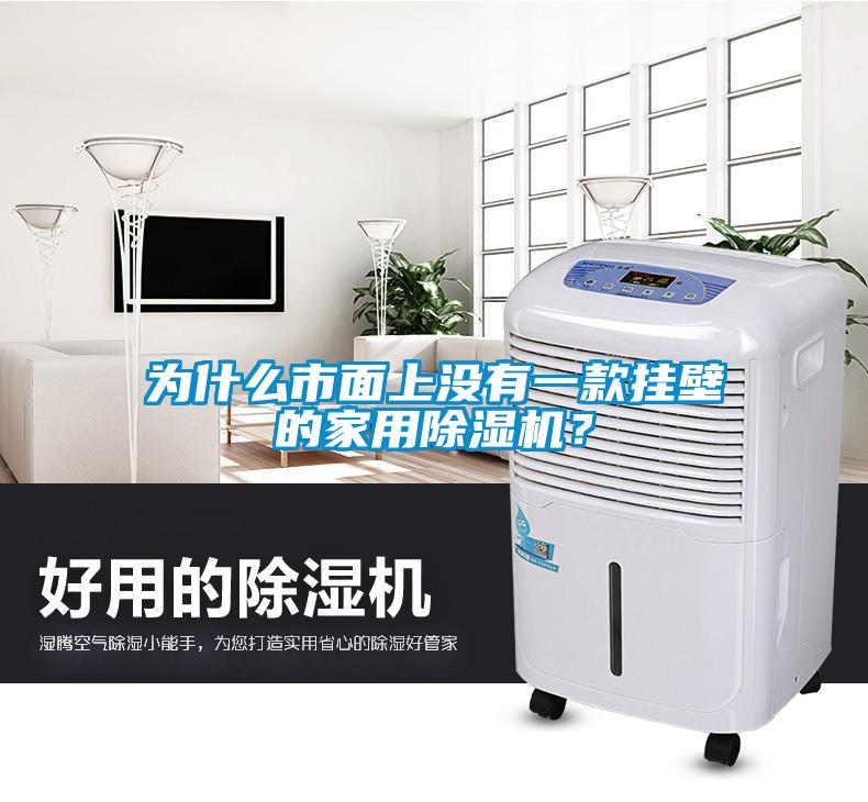 為什么市面上沒有一款掛壁的家用除濕機？