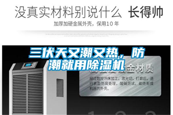 三伏天又潮又熱，防潮就用除濕機