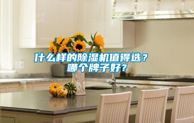 什么樣的除濕機值得選? 哪個牌子好?
