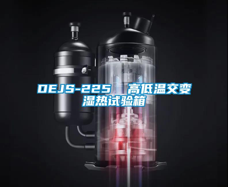 DEJS-225 高低溫交變濕熱試驗箱