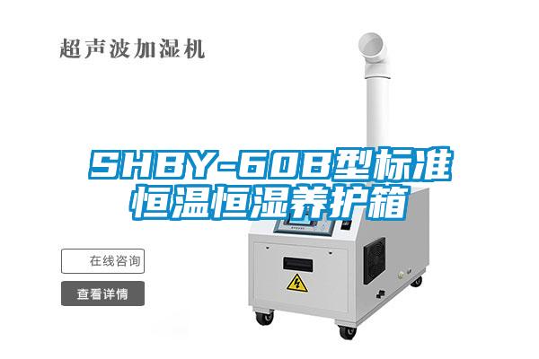 SHBY-60B型標準恒溫恒濕養護箱