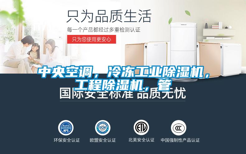 中央空調(diào)，冷凍工業(yè)除濕機(jī)，工程除濕機(jī)，管