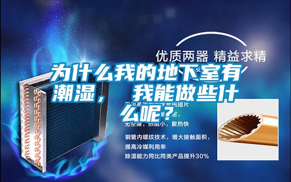 為什么我的地下室有潮濕， 我能做些什么呢？