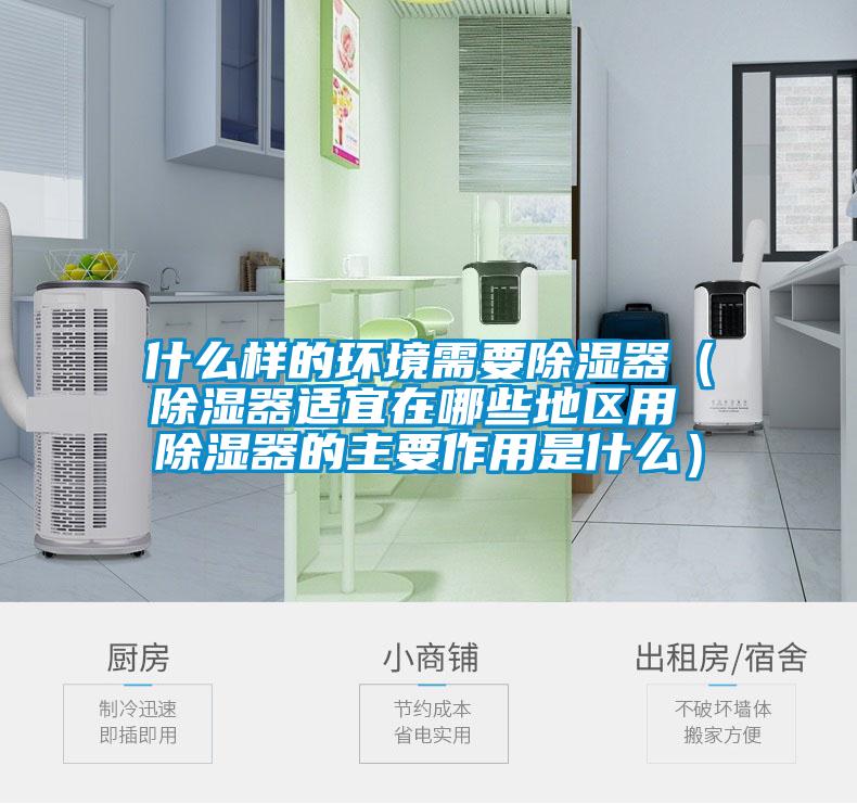 什么樣的環境需要除濕器（除濕器適宜在哪些地區用 除濕器的主要作用是什么）