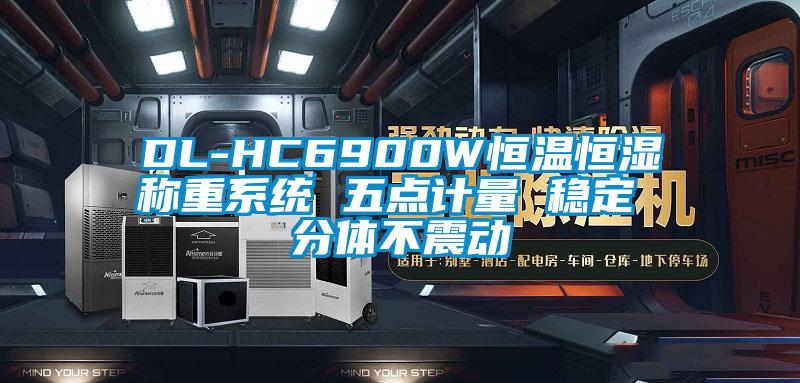 DL-HC6900W恒溫恒濕稱重系統(tǒng) 五點(diǎn)計(jì)量 穩(wěn)定 分體不震動