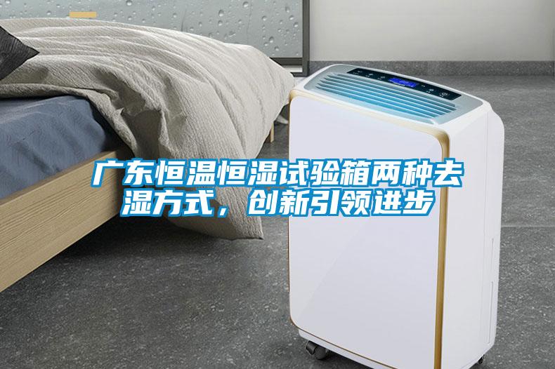 廣東恒溫恒濕試驗箱兩種去濕方式,創(chuàng)新引領(lǐng)進(jìn)步