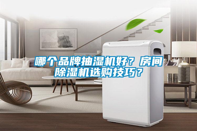 哪個品牌抽濕機好？房間除濕機選購技巧？