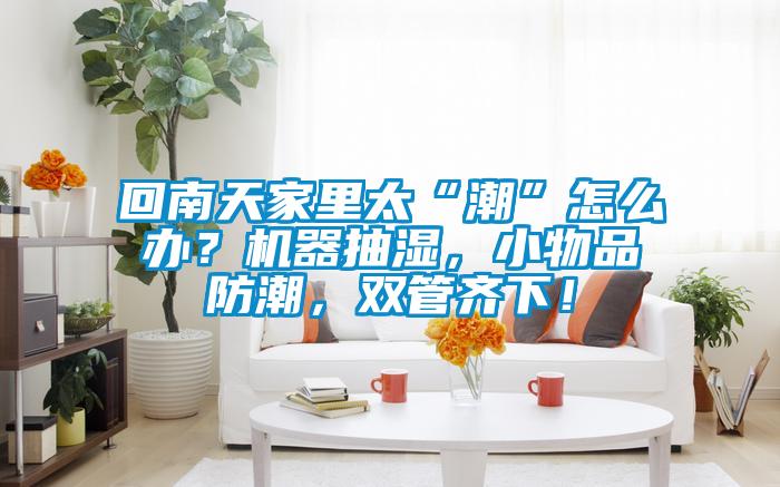 回南天家里太“潮”怎么辦?機器抽濕,小物品防潮,雙管齊下!