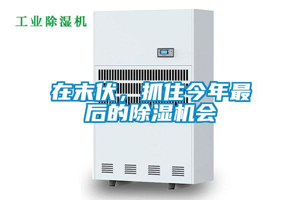 在末伏，抓住今年最后的除濕機會