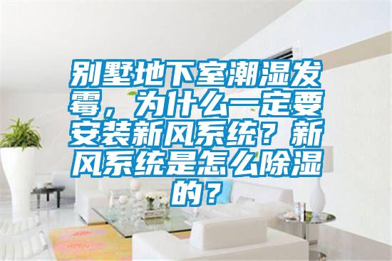 別墅地下室潮濕發霉，為什么一定要安裝新風系統？新風系統是怎么除濕的？