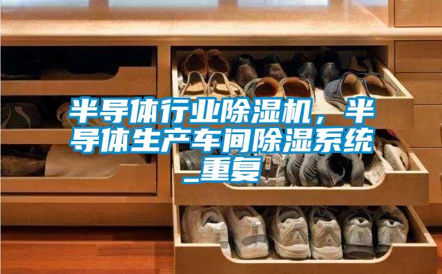 半導(dǎo)體行業(yè)除濕機(jī)，半導(dǎo)體生產(chǎn)車間除濕系統(tǒng)_重復(fù)