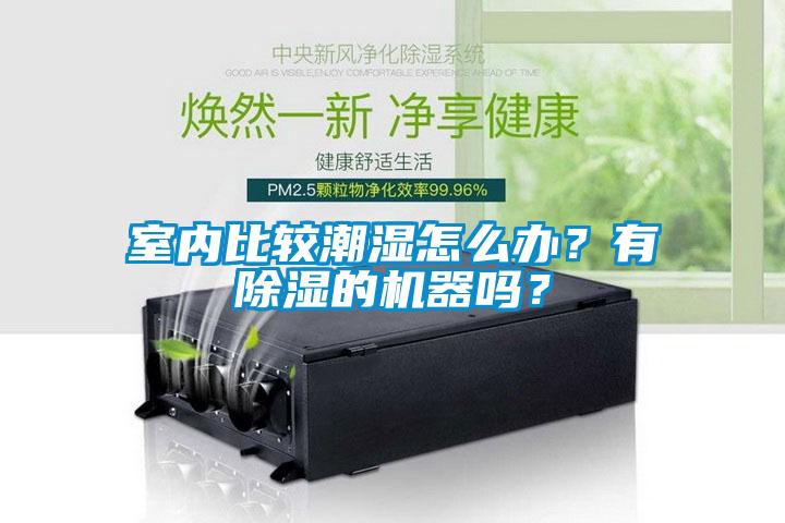 室內比較潮濕怎么辦？有除濕的機器嗎？