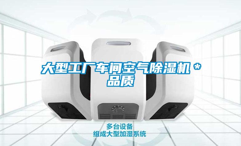 大型工廠車(chē)間空氣除濕機(jī)*品質(zhì)