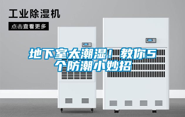 地下室太潮濕！教你5個防潮小妙招