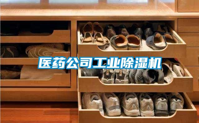 醫(yī)藥公司工業(yè)除濕機