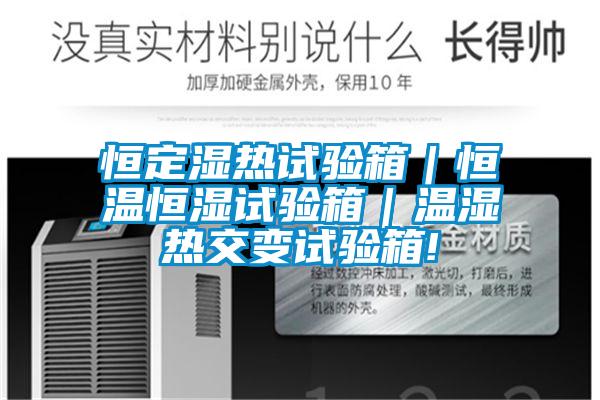 恒定濕熱試驗(yàn)箱|恒溫恒濕試驗(yàn)箱|溫濕熱交變試驗(yàn)箱!