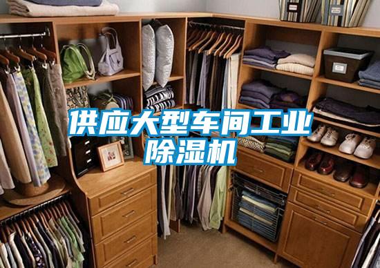 供應大型車間工業除濕機