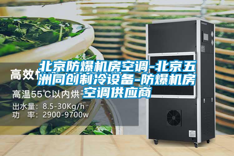 北京防爆機房空調-北京五洲同創制冷設備-防爆機房空調供應商