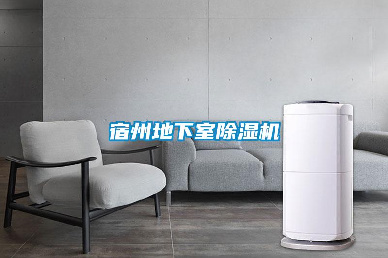 宿州地下室除濕機(jī)