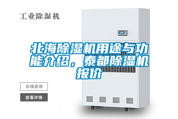 北海除濕機用途與功能介紹，泰都除濕機報價
