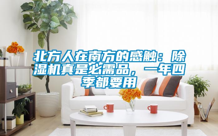 北方人在南方的感觸:除濕機真是必需品,一年四季都要用