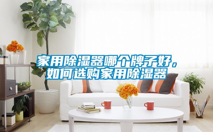 家用除濕器哪個牌子好,如何選購家用除濕器