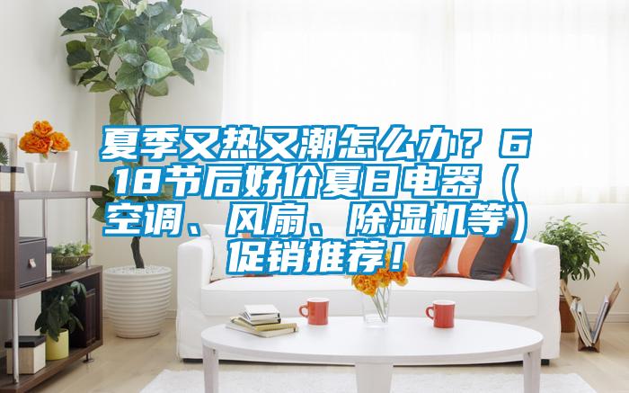 夏季又熱又潮怎么辦？618節后好價夏日電器（空調、風扇、除濕機等）促銷推薦！