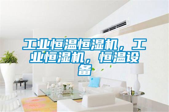 工業恒溫恒濕機，工業恒濕機，恒溫設備