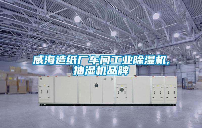 威海造紙廠車間工業(yè)除濕機(jī),抽濕機(jī)品牌