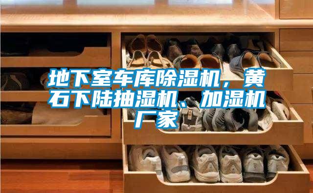 地下室車庫除濕機(jī)，黃石下陸抽濕機(jī)、加濕機(jī)廠家