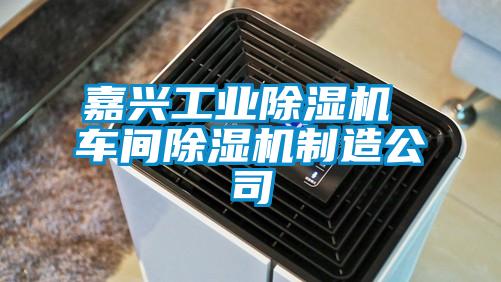 嘉興工業(yè)除濕機(jī) 車(chē)間除濕機(jī)制造公司