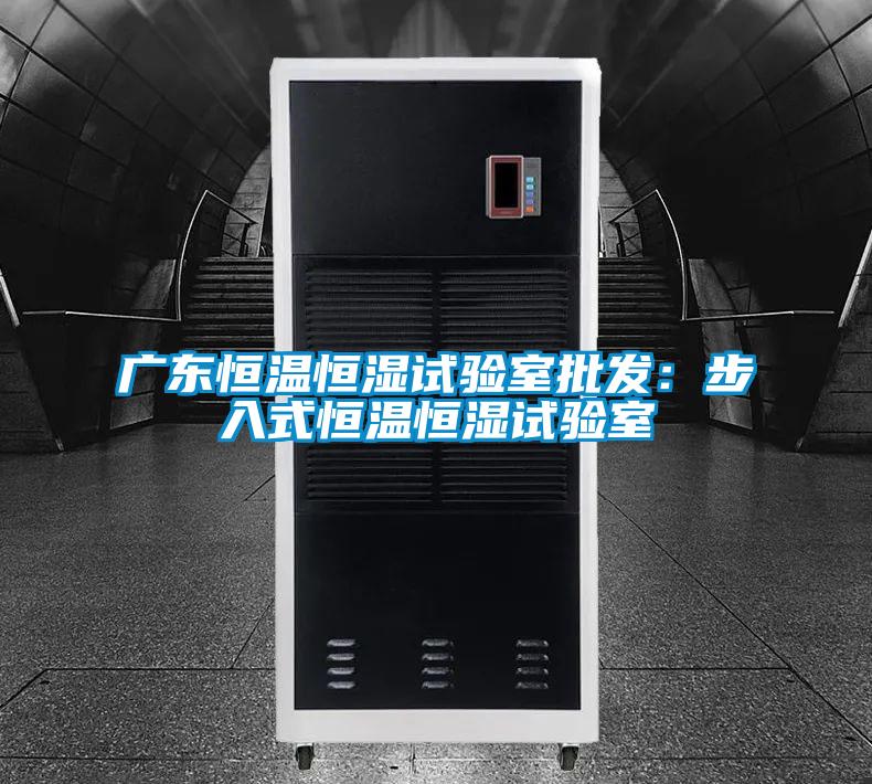 廣東恒溫恒濕試驗室批發:步入式恒溫恒濕試驗室
