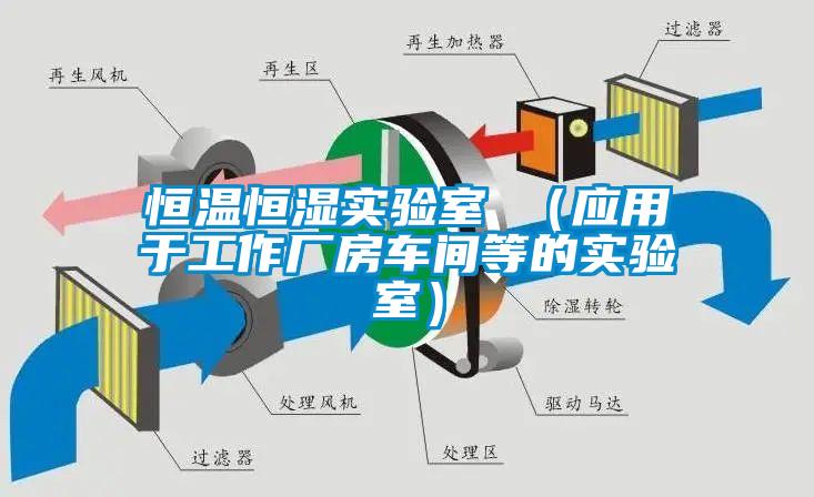 恒溫恒濕實驗室 (應用于工作廠房車間等的實驗室)