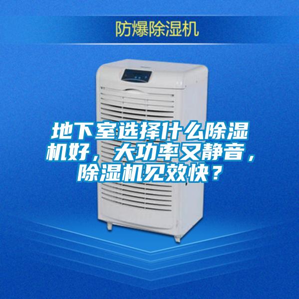 地下室選擇什么除濕機好，大功率又靜音，除濕機見效快？