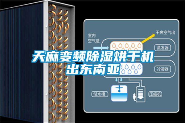 天麻變頻除濕烘干機出東南亞