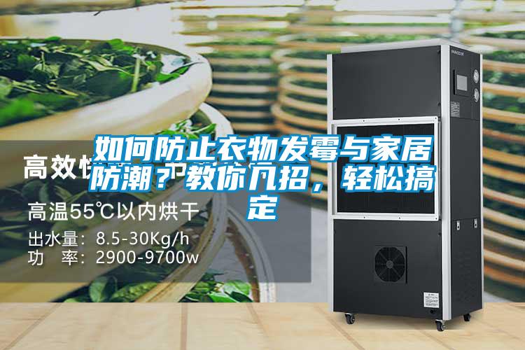 如何防止衣物發霉與家居防潮？教你幾招，輕松搞定