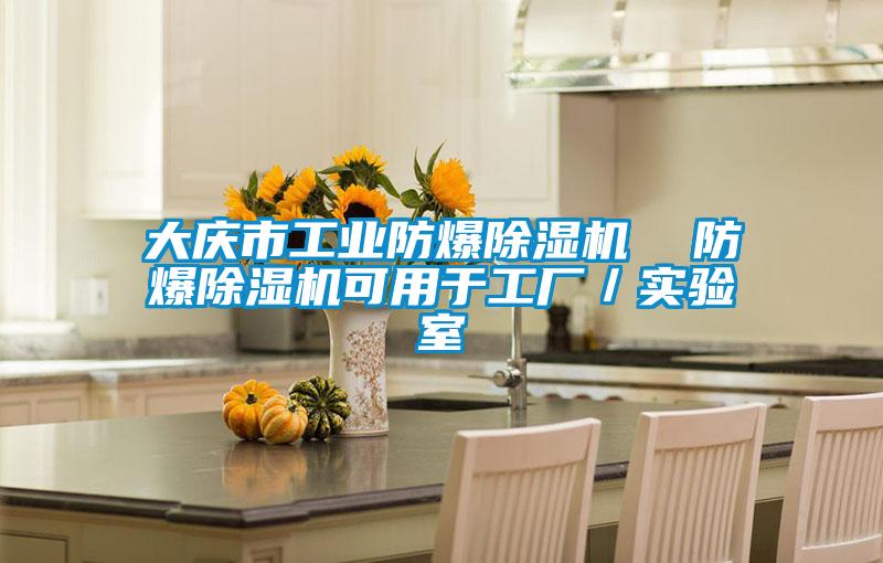 大慶市工業防爆除濕機 防爆除濕機可用于工廠/實驗室