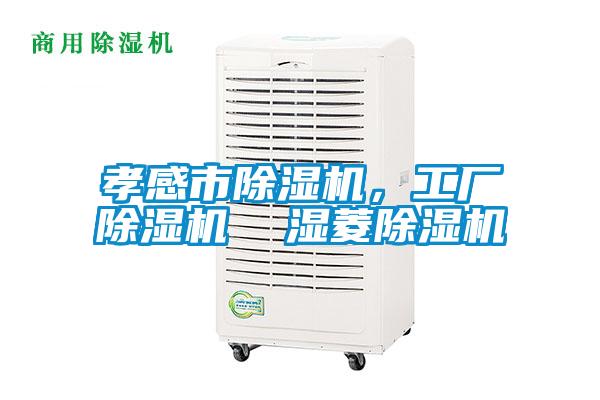 孝感市除濕機,工廠除濕機 濕菱除濕機