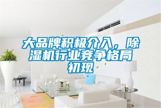 大品牌積極介入,除濕機行業競爭格局初現