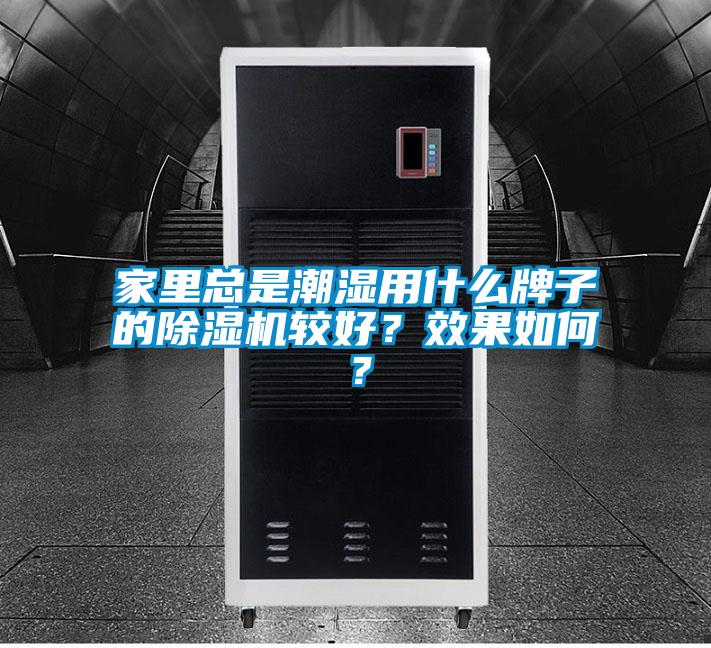 家里總是潮濕用什么牌子的除濕機較好？效果如何？