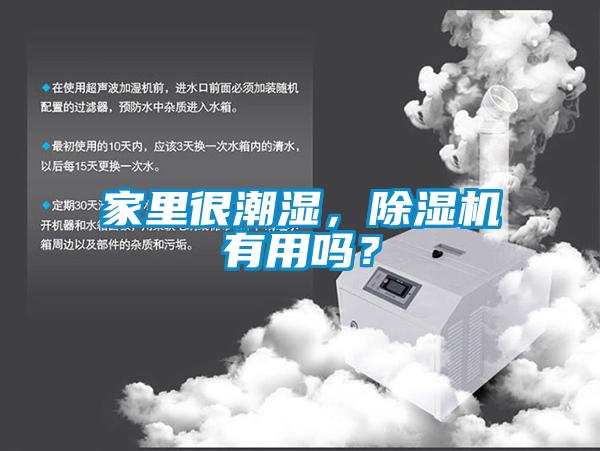 家里很潮濕,除濕機有用嗎?