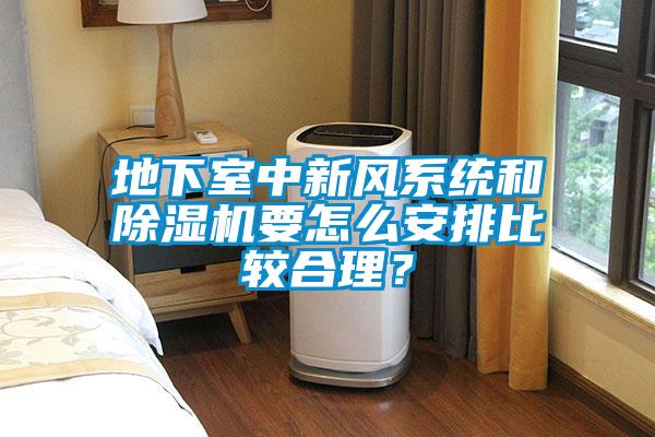 地下室中新風系統(tǒng)和除濕機要怎么安排比較合理?
